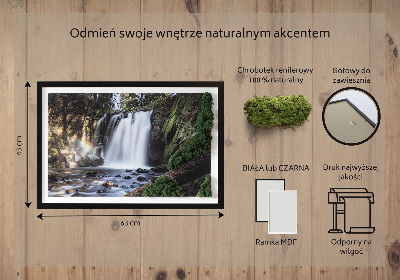 Quadro de musgo Uma cachoeira cercada por árvores