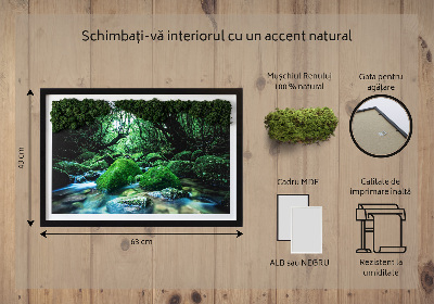 Decoração com musgo Um rio no meio da floresta