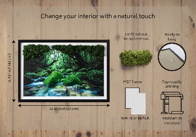 Decoração com musgo Um rio no meio da floresta