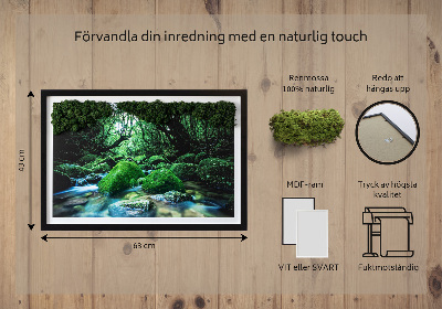 Decoração com musgo Um rio no meio da floresta