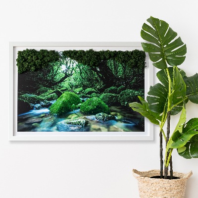 Decoração com musgo Um rio no meio da floresta