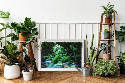 Decoração com musgo Um rio no meio da floresta