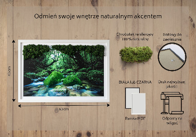 Decoração com musgo Um rio no meio da floresta