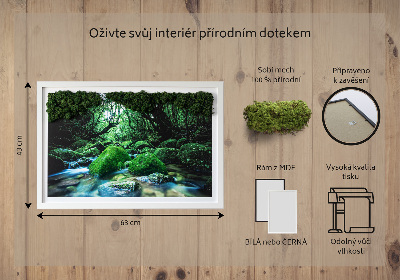 Decoração com musgo Um rio no meio da floresta