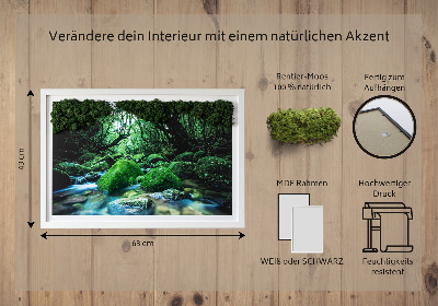 Decoração com musgo Um rio no meio da floresta