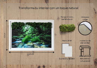Decoração com musgo Um rio no meio da floresta