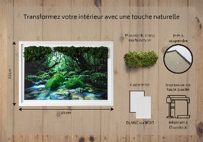 Decoração com musgo Um rio no meio da floresta