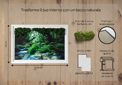 Decoração com musgo Um rio no meio da floresta