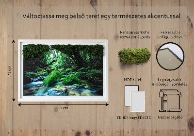 Decoração com musgo Um rio no meio da floresta