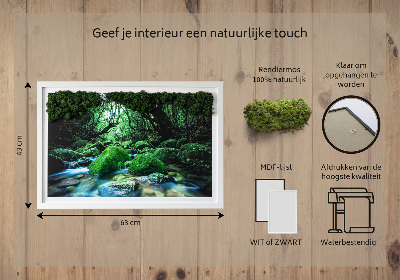 Decoração com musgo Um rio no meio da floresta