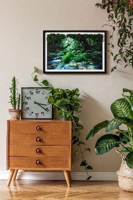 Decoração com musgo Um rio no meio da floresta