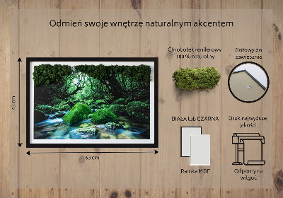 Decoração com musgo Um rio no meio da floresta