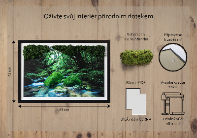 Decoração com musgo Um rio no meio da floresta