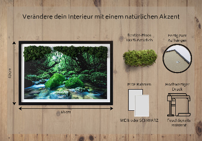 Decoração com musgo Um rio no meio da floresta