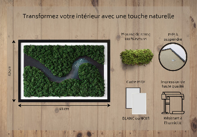 Decoração com musgo Um rio no deserto