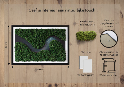 Decoração com musgo Um rio no deserto