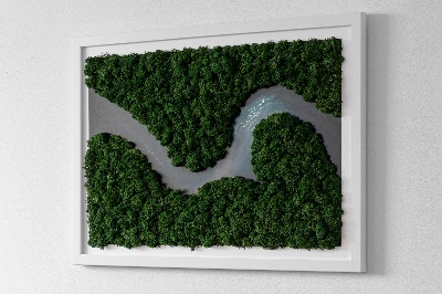 Decoração com musgo Um rio no deserto