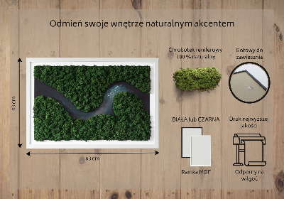 Decoração com musgo Um rio no deserto