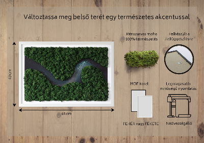 Decoração com musgo Um rio no deserto