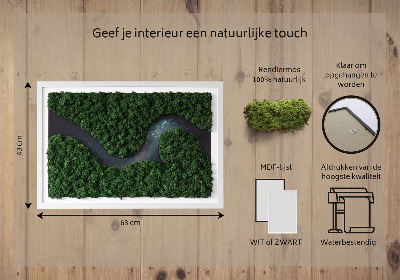 Decoração com musgo Um rio no deserto