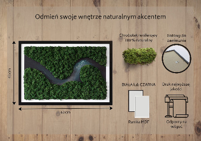 Decoração com musgo Um rio no deserto