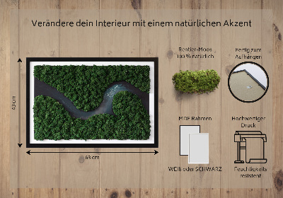 Decoração com musgo Um rio no deserto