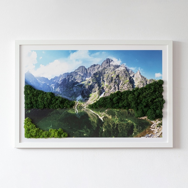 Quadro de musgo natural Montanhas Tatra - Morskie Oko