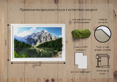 Quadro de musgo natural Montanhas Tatra - Morskie Oko