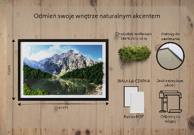 Quadro de musgo natural Montanhas Tatra - Morskie Oko
