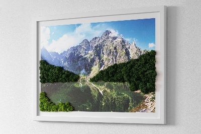 Quadro de musgo natural Montanhas Tatra - Morskie Oko