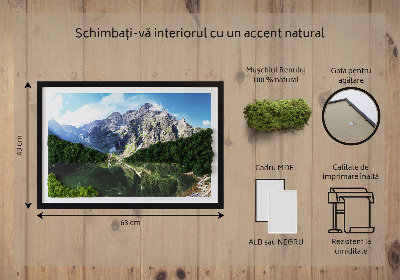 Quadro de musgo natural Montanhas Tatra - Morskie Oko