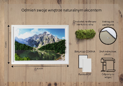 Quadro de musgo natural Montanhas Tatra - Morskie Oko