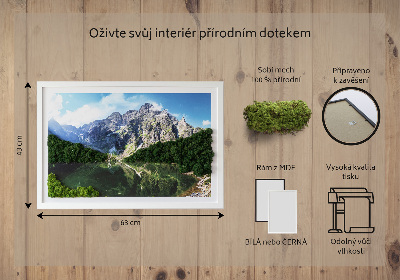Quadro de musgo natural Montanhas Tatra - Morskie Oko