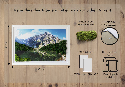Quadro de musgo natural Montanhas Tatra - Morskie Oko