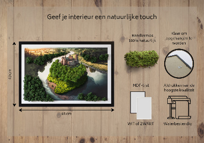 Decoração com musgo Castelo estampado