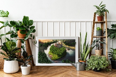 Decoração com musgo Castelo estampado