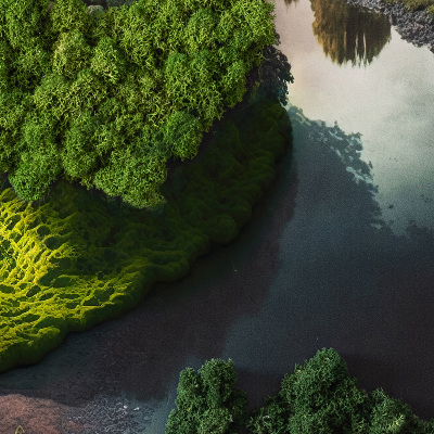 Decoração com musgo Castelo estampado