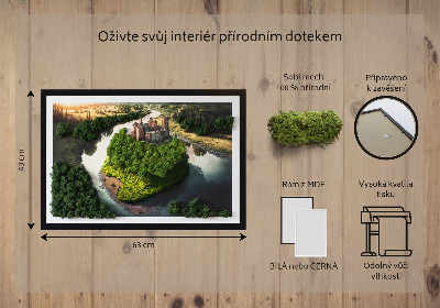 Decoração com musgo Castelo estampado