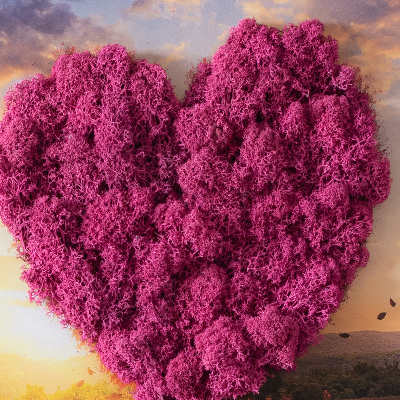 Quadro de musgo natural Árvore em forma de coração