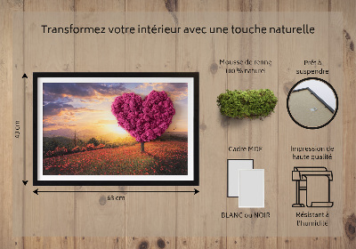 Quadro de musgo natural Árvore em forma de coração