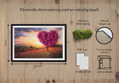 Quadro de musgo natural Árvore em forma de coração