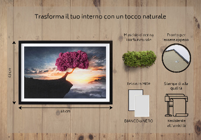 Quadro de musgo Uma árvore sobre um precipício