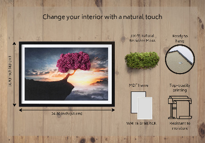 Quadro de musgo Uma árvore sobre um precipício