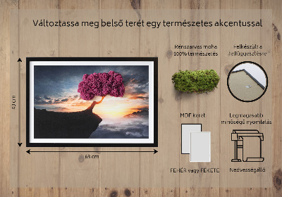 Quadro de musgo Uma árvore sobre um precipício
