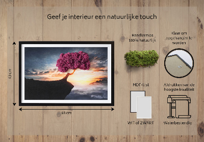 Quadro de musgo Uma árvore sobre um precipício