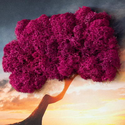 Quadro de musgo Uma árvore sobre um precipício