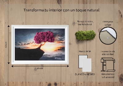 Quadro de musgo Uma árvore sobre um precipício