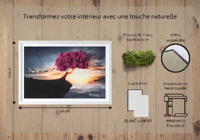 Quadro de musgo Uma árvore sobre um precipício