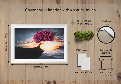 Quadro de musgo Uma árvore sobre um precipício