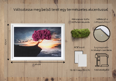Quadro de musgo Uma árvore sobre um precipício